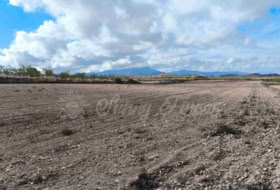 Jumella 13000&nbsp;m² 