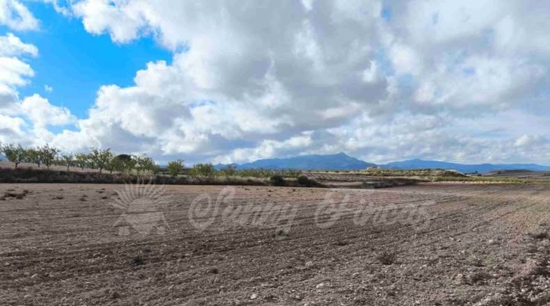 Murcia - Jumilla - 13000m2