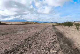 Jumella 13000&nbsp;m² 