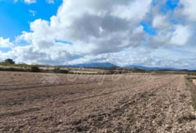 Jumella 13000&nbsp;m² 