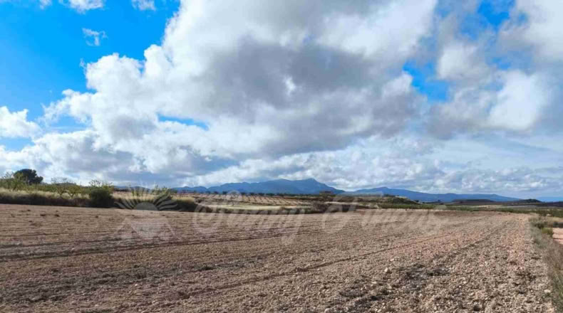 Murcia - Jumilla - 13000m2