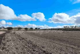 Jumella 13000&nbsp;m² 