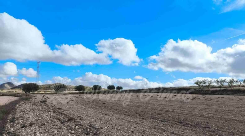 Murcia - Jumilla - 13000m2