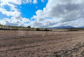 Jumella 13000&nbsp;m² 