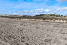 Jumella 13000&nbsp;m² 
