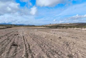 Jumella 13000&nbsp;m² 