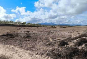 Jumella 13000&nbsp;m² 