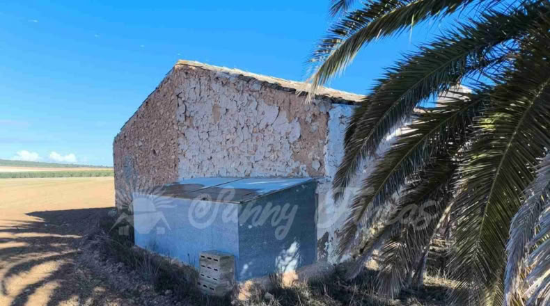 Murcia - Yecla - 24000m2
