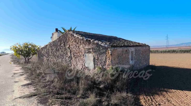 Murcia - Yecla - 24000m2