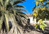 Terreny no urbanitzable en venda a Iecla ref.: TR394069 foto