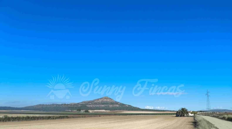 Murcia - Yecla - 24000m2