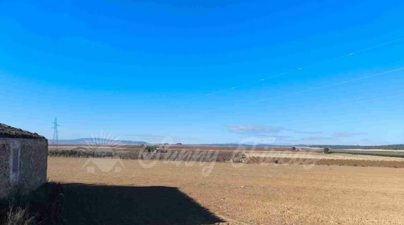 Murcia - Yecla - 24000m2