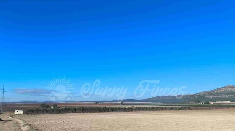 Murcia - Yecla - 24000m2