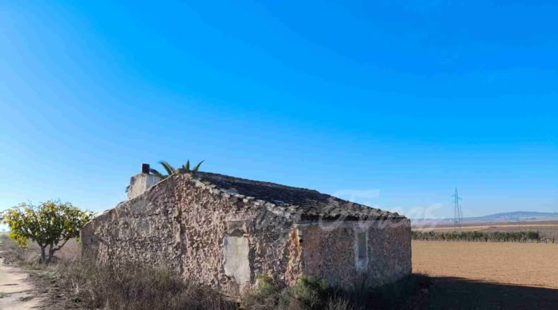 Murcia - Yecla - 24000m2