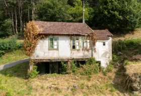 Foto 7