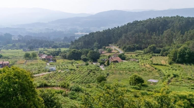 Pontevedra - Ribas de Miño - 121m2