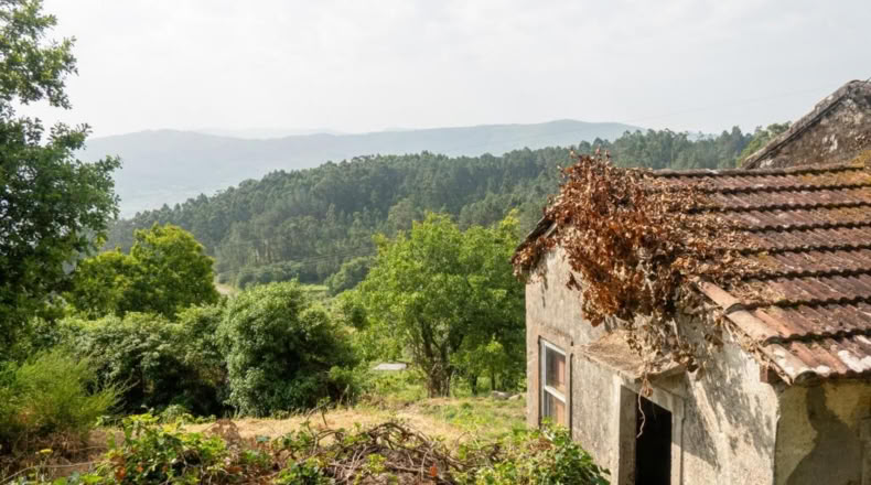 Pontevedra - Ribas de Miño - 121m2