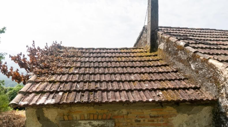 Pontevedra - Ribas de Miño - 121m2