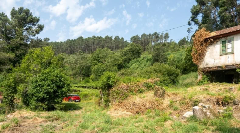 Pontevedra - Ribas de Miño - 121m2