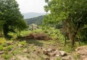 Masía con terreno en venta en la Pedreira, O Carboal, ref: TR394196 foto