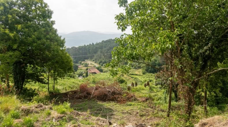 Pontevedra - Ribas de Miño - 121m2