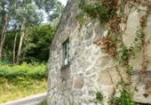 Masía con terreno en venta en la Pedreira, O Carboal, ref: TR394196 foto
