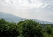 Masía con terreno en venta en la Pedreira, O Carboal, ref: TR394196 foto