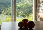 Village house for sale on CARBALLO-PQ RIBEIRAS MIÑO, Pantón de Abaixo, ref: TR394195 photo