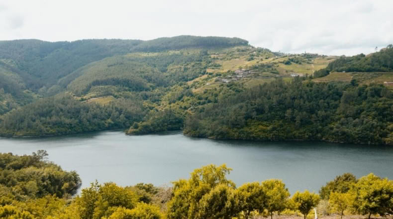 Lugo - Santo Estevo - 449m2