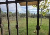 Detached villa with land for sale on LLANO CAMPANERO, Chella, ref: TR394188 photo