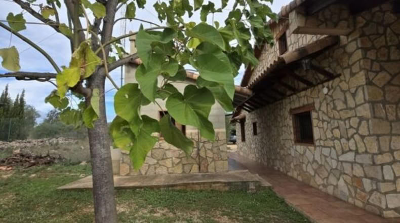 Valencia - Chella - 155m2