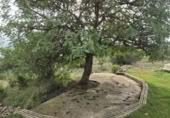 Detached villa with land for sale on LLANO CAMPANERO, Chella, ref: TR394188 photo