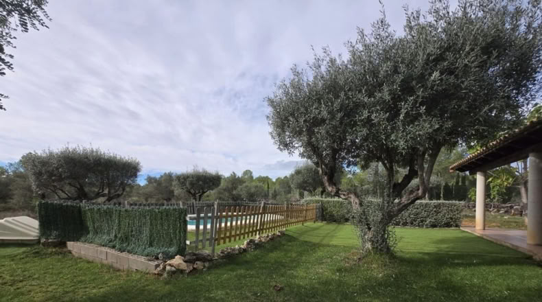 Valencia - Chella - 155m2