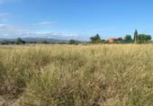 Stone house with land for sale in Santa Bàrbara ref: TR394172 photo