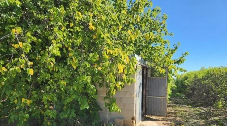 Tarragona - Santa Bàrbara - 11m2