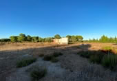 Terreny amb magatzem en venda a l'Ampolla ref.: TR394166 foto