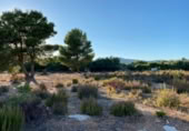 Terreny amb magatzem en venda a l'Ampolla ref.: TR394166 foto