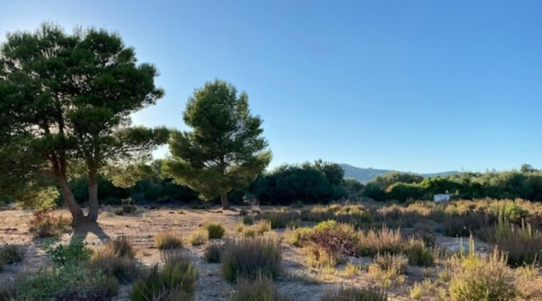 Tarragona - l'Ampolla - 275m2