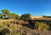 Terreny amb magatzem en venda a l'Ampolla ref.: TR394166 foto