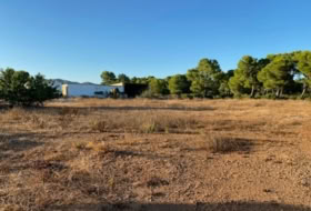 Foto 15