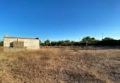 Terreny amb magatzem en venda a l'Ampolla ref.: TR394166 foto