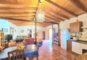 Masia amb terreny en venda a la ROSA, La Aldea de San Nicolás, ref.: TR394151 foto