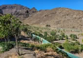 Masia amb terreny en venda a la ROSA, La Aldea de San Nicolás, ref.: TR394151 foto