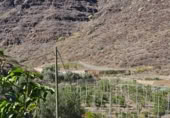 Masia amb terreny en venda a la ROSA, La Aldea de San Nicolás, ref.: TR394151 foto