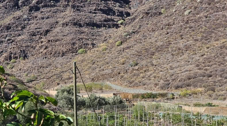 Las Palmas - Ла Альдеа де Сан Николас - 115m2