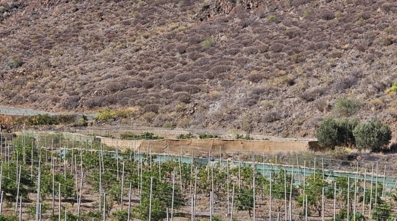 Las Palmas - Ла Альдеа де Сан Николас - 115m2