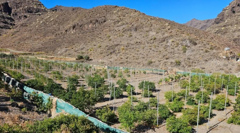 Las Palmas - Ла Альдеа де Сан Николас - 115m2