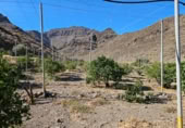 Masia amb terreny en venda a la ROSA, La Aldea de San Nicolás, ref.: TR394151 foto