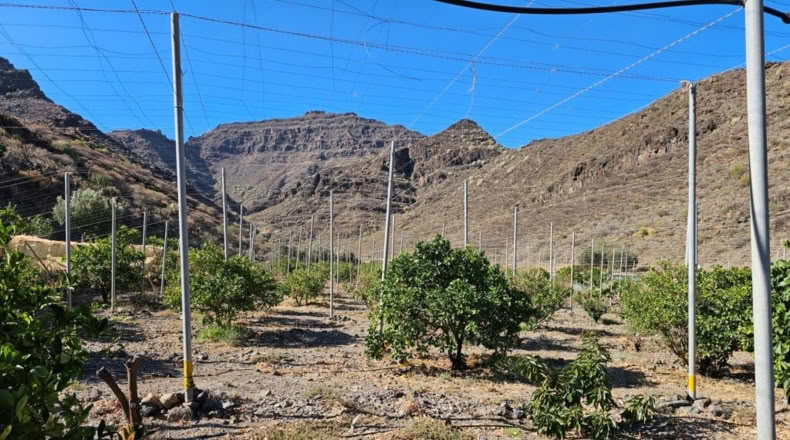 Las Palmas - Ла Альдеа де Сан Николас - 115m2