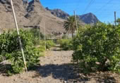 Masia amb terreny en venda a la ROSA, La Aldea de San Nicolás, ref.: TR394151 foto